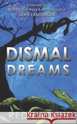 Dismal Dreams Red Lagoe 9780998853154