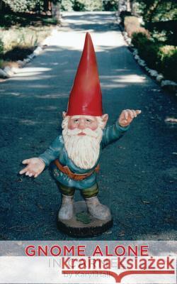 Gnome Alone in Carmel Karyl Hall 9780998960548 Seton Publishing