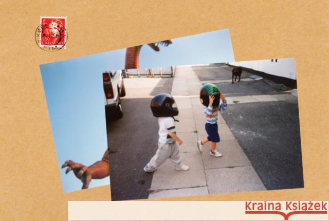 Andre Viking: Hello Soul Mate  9780999365564 J & L Books