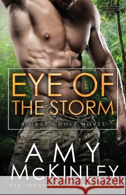 Eye of the Storm Amy McKinley 9780999428023 Arrowscope Press, LLC