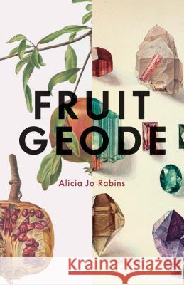 Fruit Geode Alicia Jo Rabins 9780999501207 Augury Books