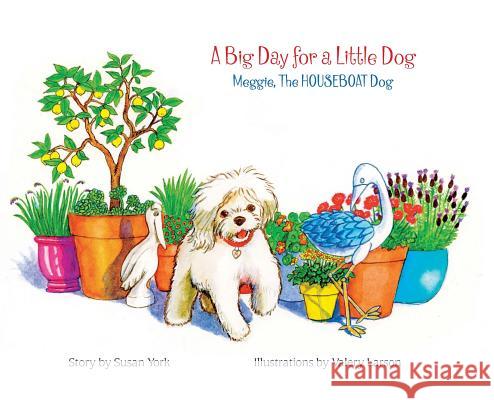 A Big Day for a Little Dog: Meggie, The HOUSEBOAT Dog York, Susan 9780999533673 Not Avail