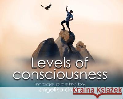 Levels of Consciousness Angelika Drake 9780999535233 Angelika Drake