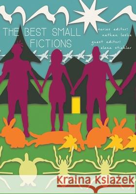 The Best Small Fictions 2020 Anthology Nathan Leslie Elena Stiehler 9780999750193 Sonder Press