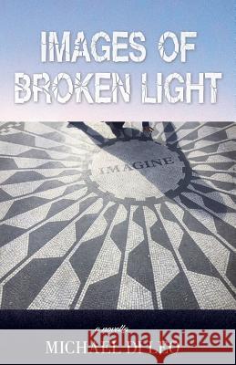 Images of Broken Light Michael D 9780999757703 Hoffman Associates