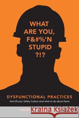 Dysfunctional Practices: that kill your Safety Culture (and what to do about them) Ludwig, Timothy D. 9780999861615