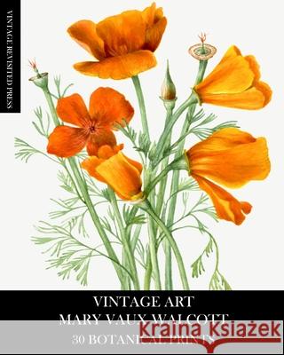 Vintage Art: Mary Vaux Walcott 30 Botanical Prints Vintage Revisited Press 9781006567926 Blurb