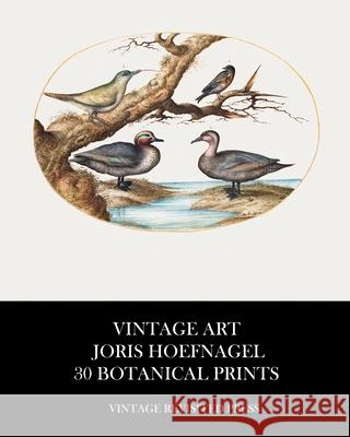 Vintage Art: Joris Hoefnagel 30 Botanical Prints Vintage Revisited Press 9781006573477 Blurb