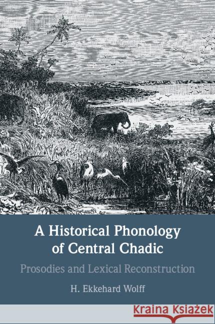 A Historical Phonology of Central Chadic: Prosodies and Lexical Reconstruction H. Ekkehard (Universitat Leipzig) Wolff 9781009010672 Cambridge University Press