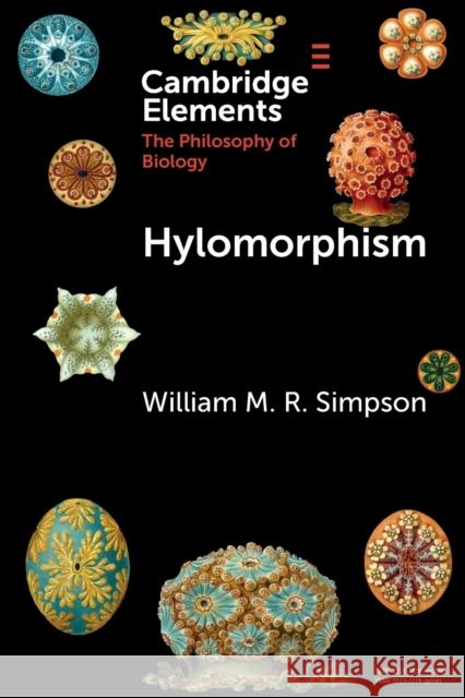 Hylomorphism William M. R. Simpson 9781009012843 Cambridge University Press