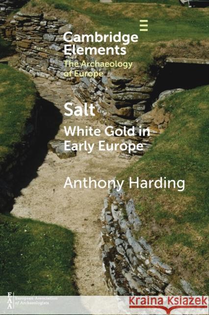 Salt: White Gold in Early Europe Harding, Anthony 9781009017640 Cambridge University Press
