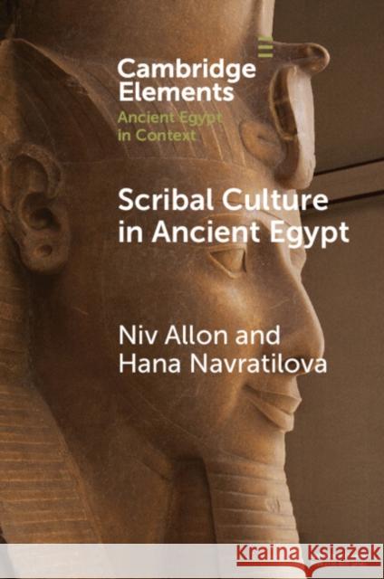 Scribal Culture in Ancient Egypt Hana (University of Oxford and University of Reading) Navratilova 9781009074537 Cambridge University Press