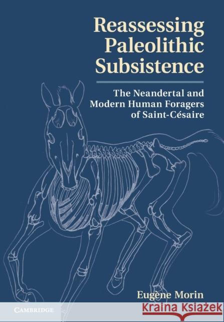 Reassessing Paleolithic Subsistence: The Neandertal and Modern Human Foragers of Saint-Césaire Morin, Eugène 9781009125062 CAMBRIDGE SECONDARY EDUCATION