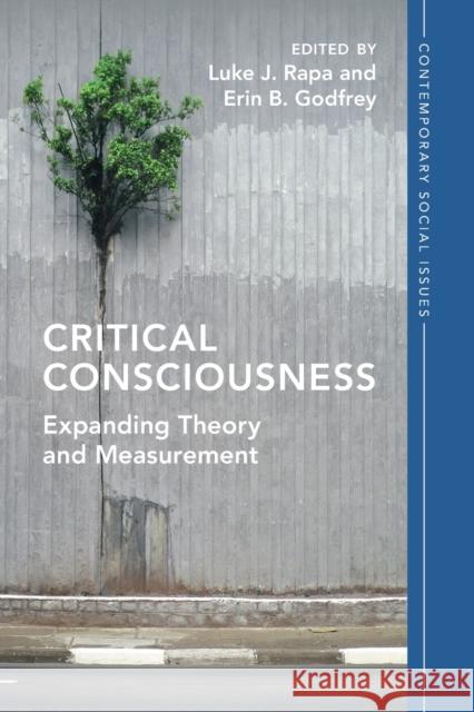 Critical Consciousness: Expanding Theory and Measurement Luke J. Rapa Erin B. Godfrey 9781009153768 Cambridge University Press