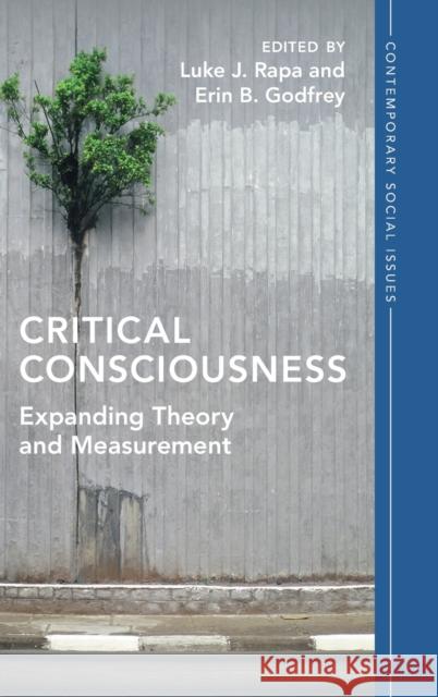 Critical Consciousness: Expanding Theory and Measurement Luke J. Rapa Erin B. Godfrey 9781009153775 Cambridge University Press