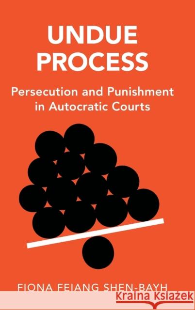 Undue Process: Persecution and Punishment in Autocratic Courts Fiona Feiang Shen-Bayh 9781009197137 Cambridge University Press