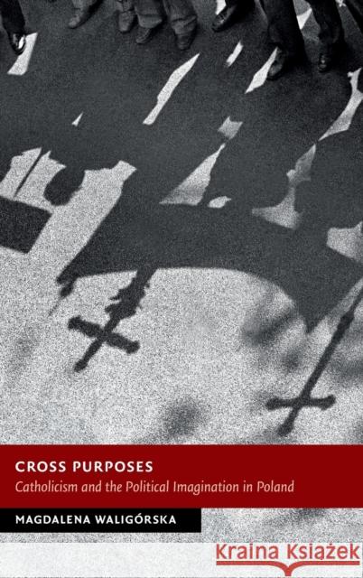 Cross Purposes Magdalena (Humboldt-Universitat zu Berlin) Waligorska 9781009230957 Cambridge University Press