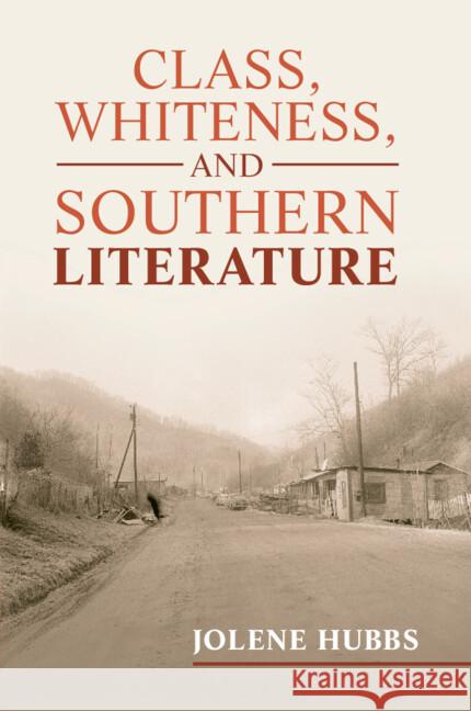 Class, Whiteness, and Southern Literature Jolene Hubbs 9781009250641