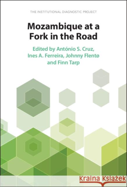 Mozambique at a Fork in the Road: The Institutional Diagnostic Project Ant?nio S. Cruz Ines A. Ferreira Johnny Flent? 9781009265751