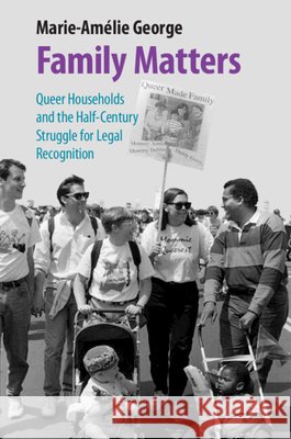 Family Matters: Queer Households and the Half-Century Struggle for Legal Recognition Marie-Amelie (Wake Forest University School of Law) George 9781009284431 Cambridge University Press