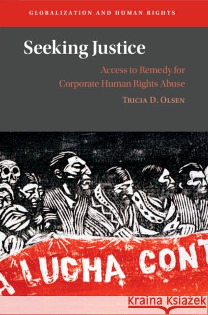 Seeking Justice Tricia D. (University of Denver) Olsen 9781009293259 Cambridge University Press