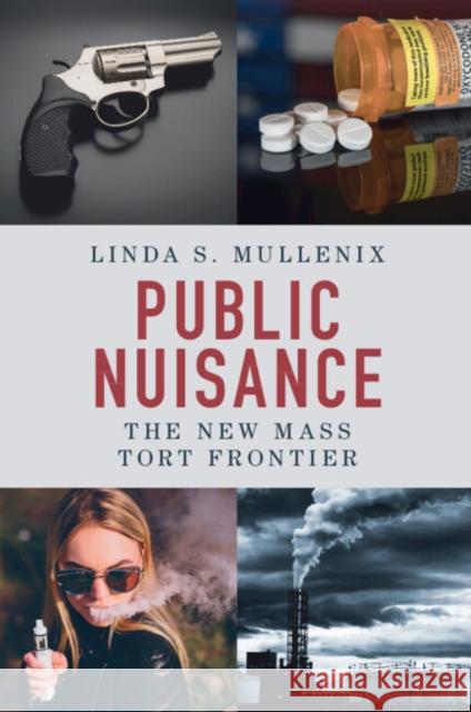 Public Nuisance Linda S. (University of Texas, Austin) Mullenix 9781009334914