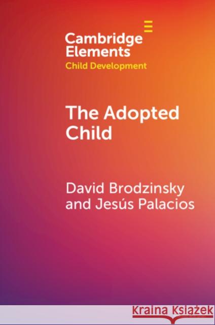 The Adopted Child Jesus (University of Seville) Palacios 9781009339186