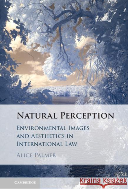 Natural Perception Alice (University of Melbourne) Palmer 9781009350129 Cambridge University Press