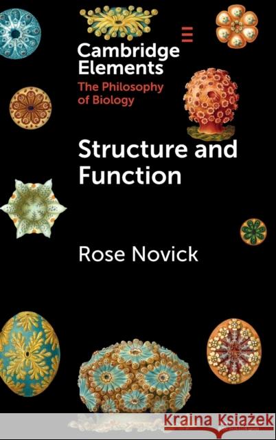 Structure and Function Rose Novick 9781009387088