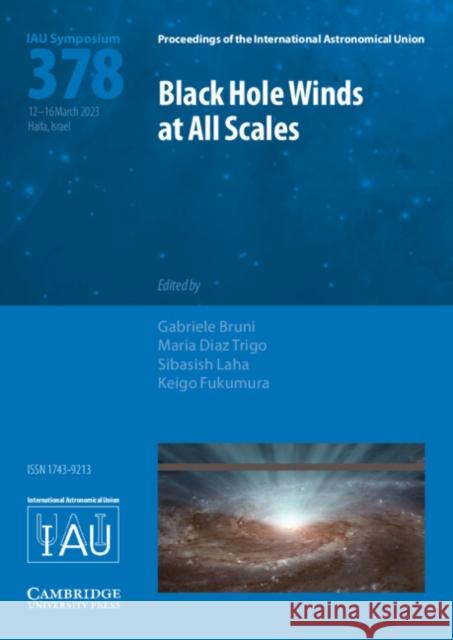 Black Hole Winds at All Scales (IAU S378)  9781009398817 Cambridge University Press