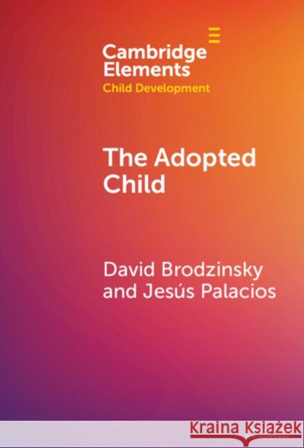 The Adopted Child Jesus (University of Seville) Palacios 9781009454445