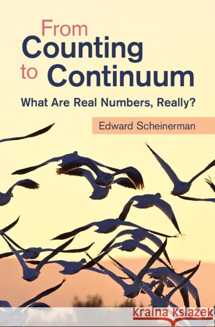 From Counting to Continuum: What Are Real Numbers, Really? Edward Scheinerman 9781009538640