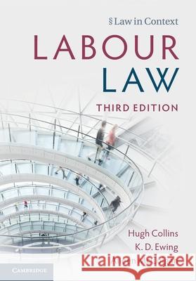 Labour Law Aileen (University of Leeds) McColgan 9781009612074