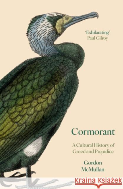 Cormorant: A Cultural History of Greed and Prejudice Gordon (King's College London) McMullan 9781009652988