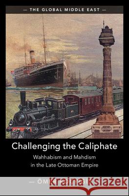 Challenging the Caliphate: Wahhabism and Mahdism in the Late Ottoman Empire Omer (Marmara University) Kocyigit 9781009663496 Cambridge University Press
