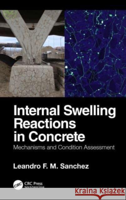 Internal Swelling Reactions in Concrete Leandro F. M. (University of Ottawa, Canada) Sanchez 9781032035987 Taylor & Francis Ltd