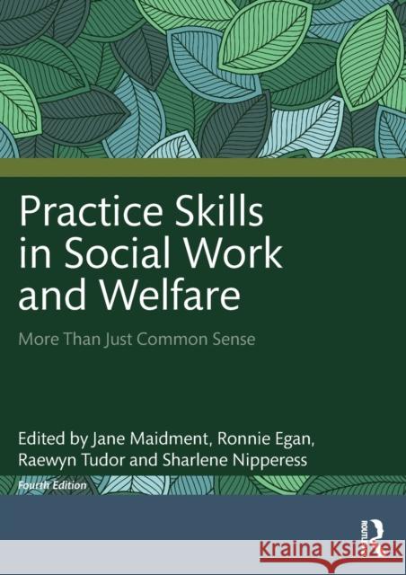 Practice Skills in Social Work and Welfare: More Than Just Common Sense Maidment, Jane 9781032056555