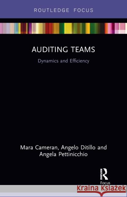 Auditing Teams: Dynamics and Efficiency Angelo Ditillo Angela Pettinicchio 9781032097008 Routledge