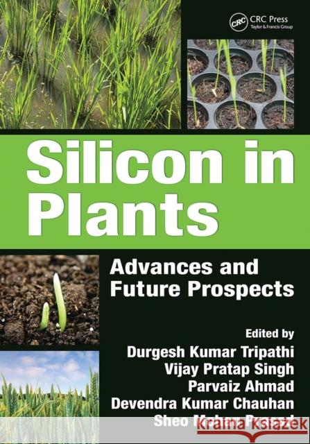 Silicon in Plants: Advances and Future Prospects Durgesh Kumar Tripathi Vijay Pratap Singh Parvaiz Ahmad 9781032097237