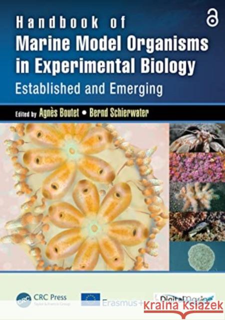 Handbook of Marine Model Organisms in Experimental Biology: Established and Emerging Agnes Boutet Bernd Schierwater 9781032108834 CRC Press