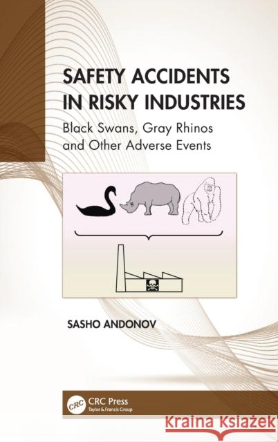 Safety Accidents in Risky Industries: Black Swans, Gray Rhinos and Other Adverse Events Sasho Andonov 9781032136479 CRC Press