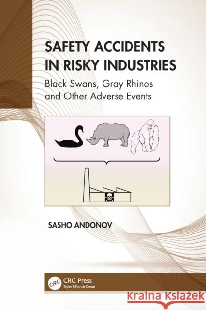 Safety Accidents in Risky Industries: Black Swans, Gray Rhinos and Other Adverse Events Sasho Andonov 9781032136493 CRC Press