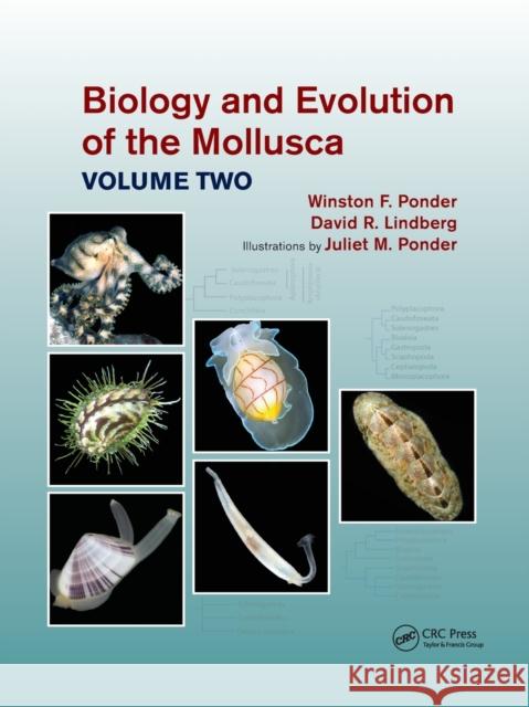 Biology and Evolution of the Mollusca, Volume 2 Winston Frank Ponder David R. Lindberg Juliet Mary Ponder 9781032173542