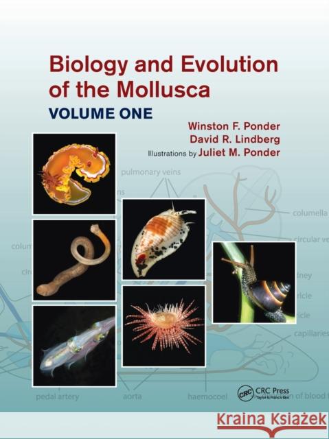 Biology and Evolution of the Mollusca, Volume 1 Winston Frank Ponder David R. Lindberg Juliet Mary Ponder 9781032176604 CRC Press