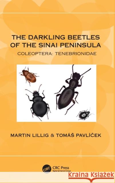 The Darkling Beetles of the Sinai Peninsula: Coleoptera: Tenebrionidae Martin Lillig Tom 9781032187204 CRC Press