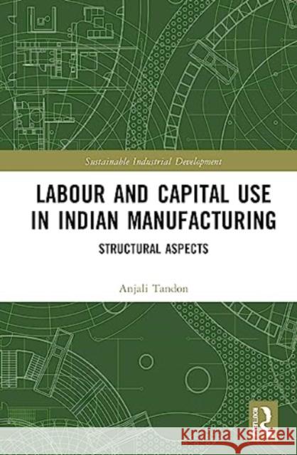 Labour and Capital Use in Indian Manufacturing Anjali Tandon 9781032291772 Taylor & Francis Ltd
