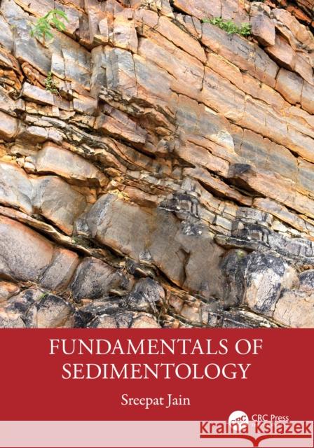 Fundamentals of Sedimentology Sreepat Jain 9781032305349 Taylor & Francis Ltd