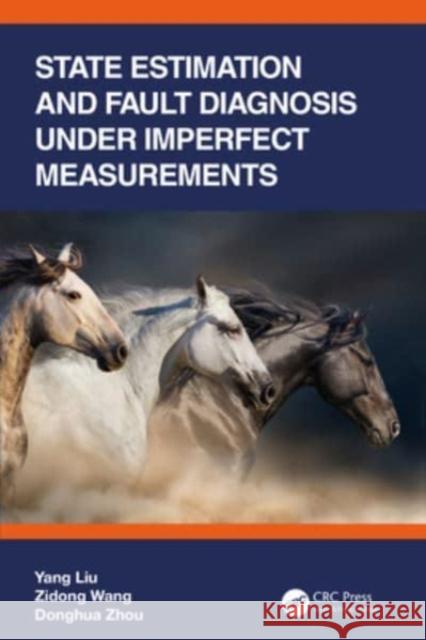 State Estimation and Fault Diagnosis Under Imperfect Measurements Yang Liu Zidong Wang Donghua Zhou 9781032313863 CRC Press