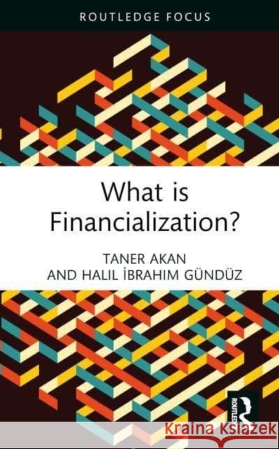 What is Financialization? Halil Ibrahim Gunduz 9781032372655 Taylor & Francis Ltd