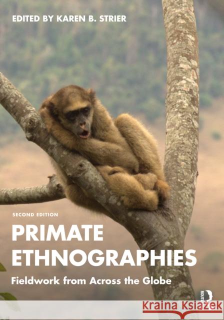 Primate Ethnographies: Fieldwork from Across the Globe Karen B. (University of Wisconsin-Madison, USA) Strier 9781032372686 Routledge